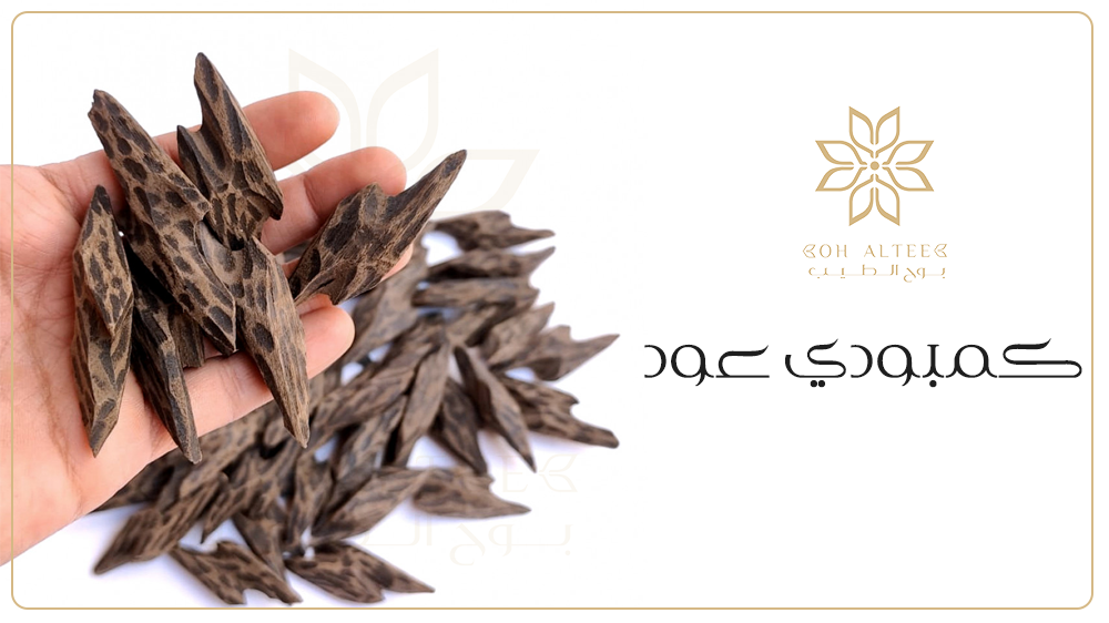 استمتع بتجربة مميزة مع كمبودي عود بجودة نقاء عالية من بوح الطيب