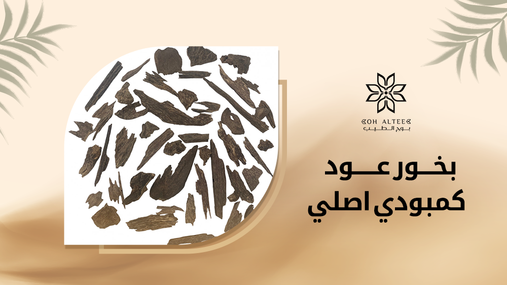 بخور عود كمبودي اصلي | اطلبه الان بسعر خيالي من بوح الطيب بخور عود كمبودي اصلي | اطلبه الان بسعر خيالي من بوح الطيب