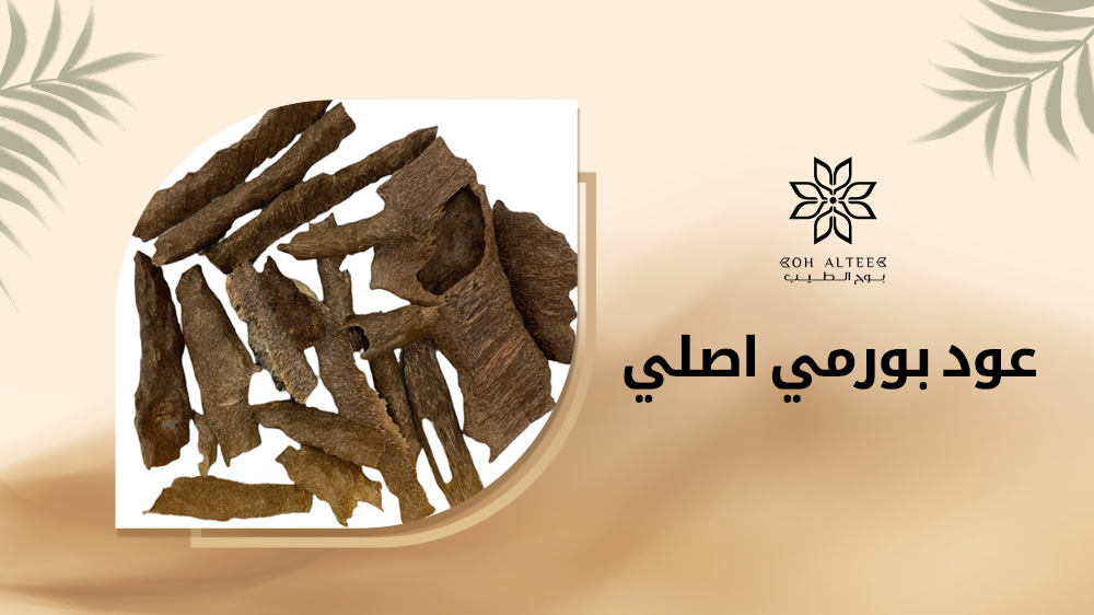 عود بورمي اصلي | نوفره بأقل الأسعار وأعلي جودة من بوح الطيب