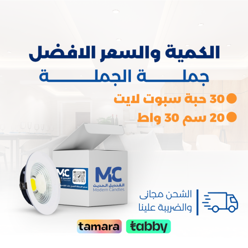 كرتون 30 حبة سبوت لايت دفن 20 سم 30 واط