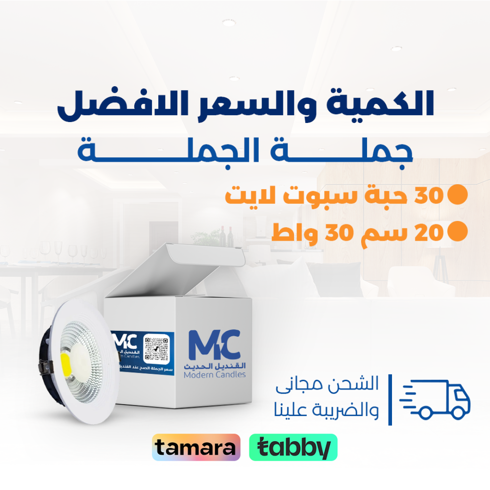 كرتون 30 حبة سبوت لايت دفن 20  سم  30 واط
