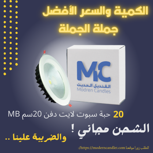 كرتون 20 حبة سبوت لايت دفن 20 سم 30 واط mb