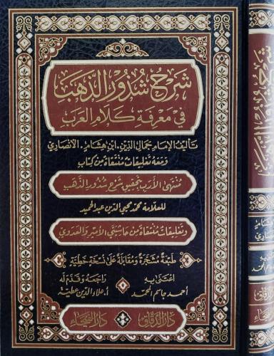 شرح شذور الذهب في معرفة كلام العرب