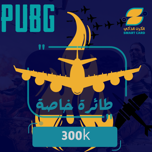 طائرة خاصة 300k