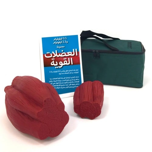 مجموعة العضلات - MIGHTY MUSCLE SET 1 LB AND 5 LB