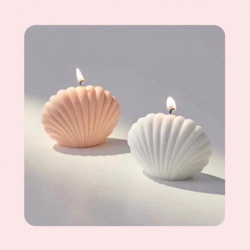 Seashell mini