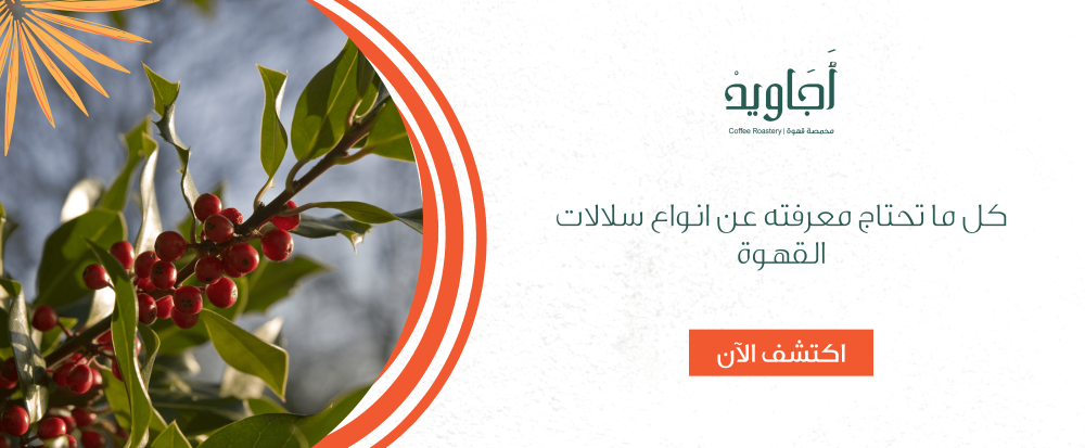 كل ما تحتاج معرفته عن انواع سلالات القهوة