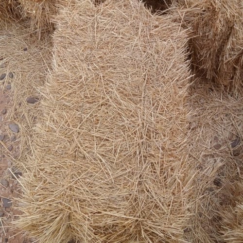 بالة قمح وشعير Wheat & barley straw