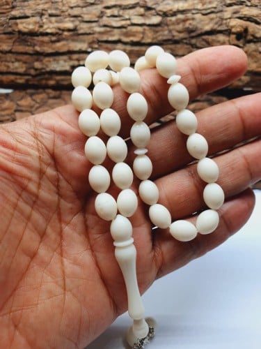 سبحه عضم الجمل 33 خوزه