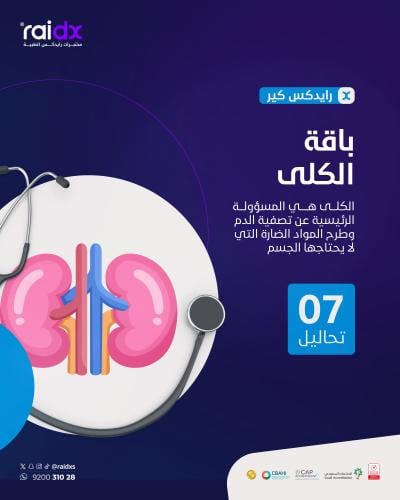 الكلى كير