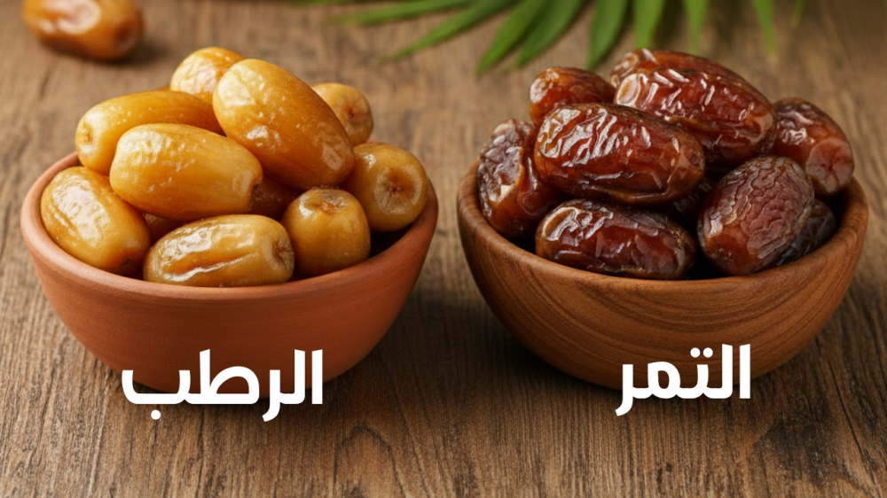 الرطب والتمر: ما الفرق بينهما؟ وأيهما الأنسب لمائدتك؟