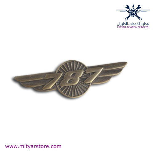 Boeing 787 Wings Pin