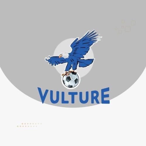اشتراك فولتشر شهر