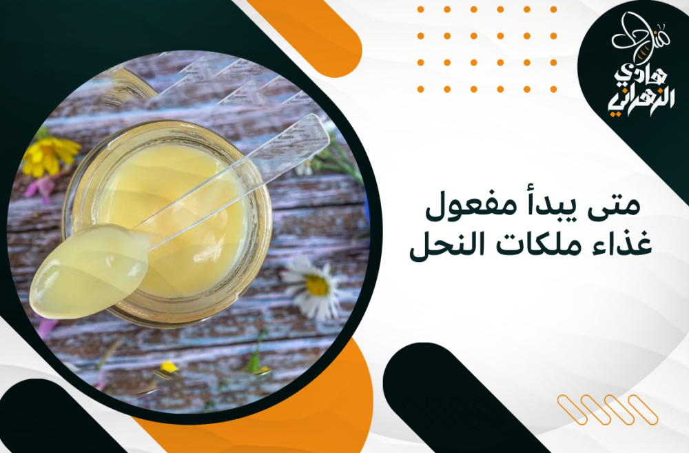 متى يبدأ مفعول غذاء ملكات النحل