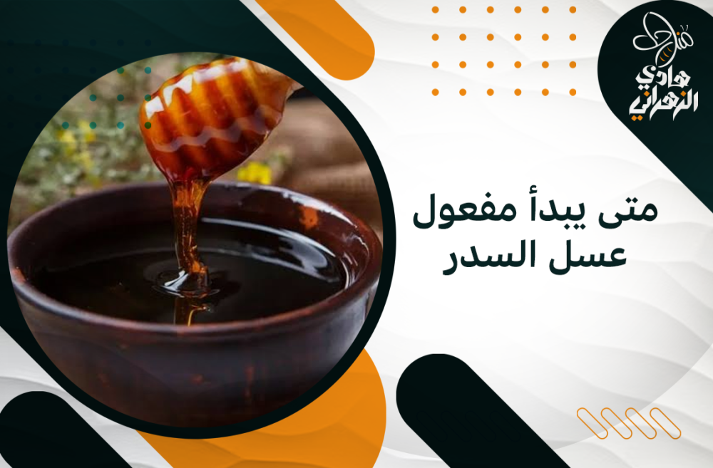 متى يبدأ مفعول عسل السدر
