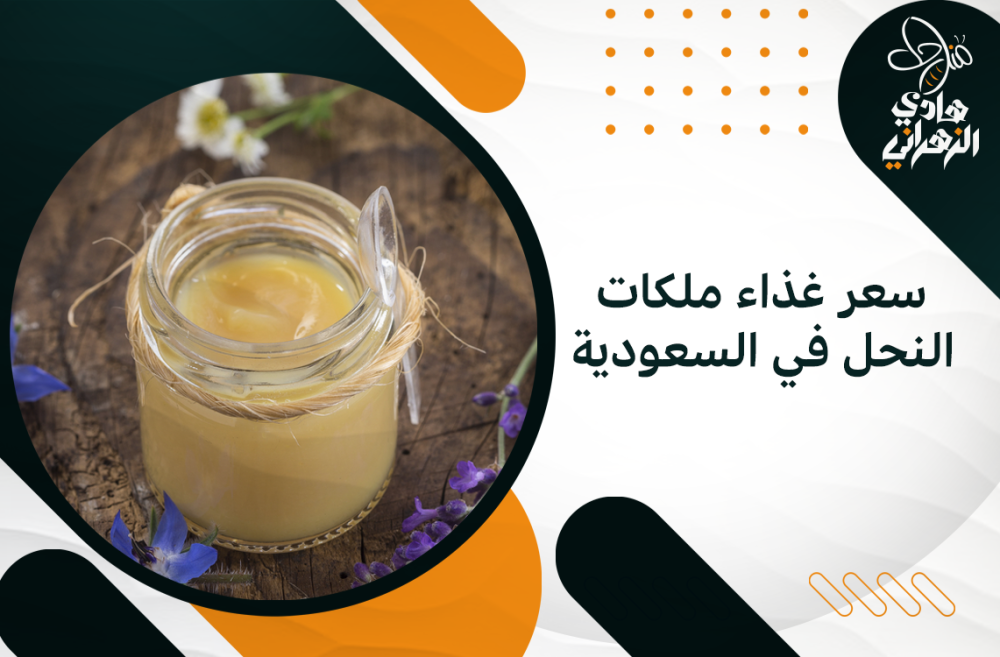 سعر غذاء ملكات النحل في السعودية