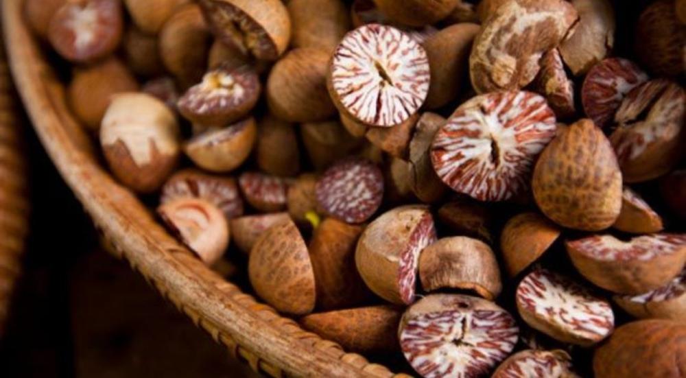 عشبة الفوفل الهندية