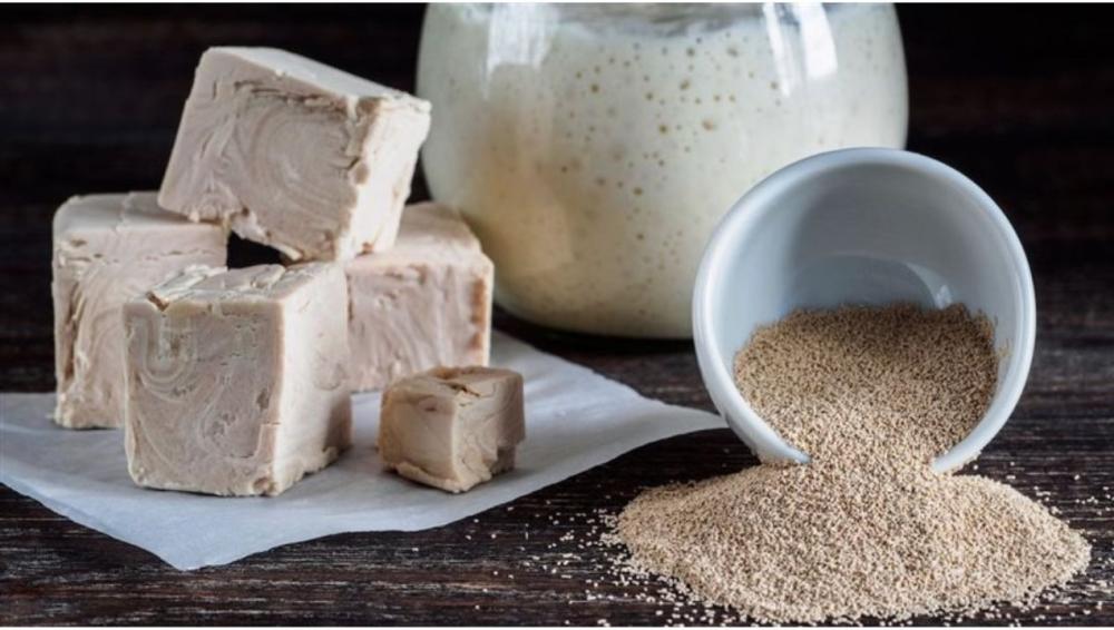 افضل خميرة البيرة