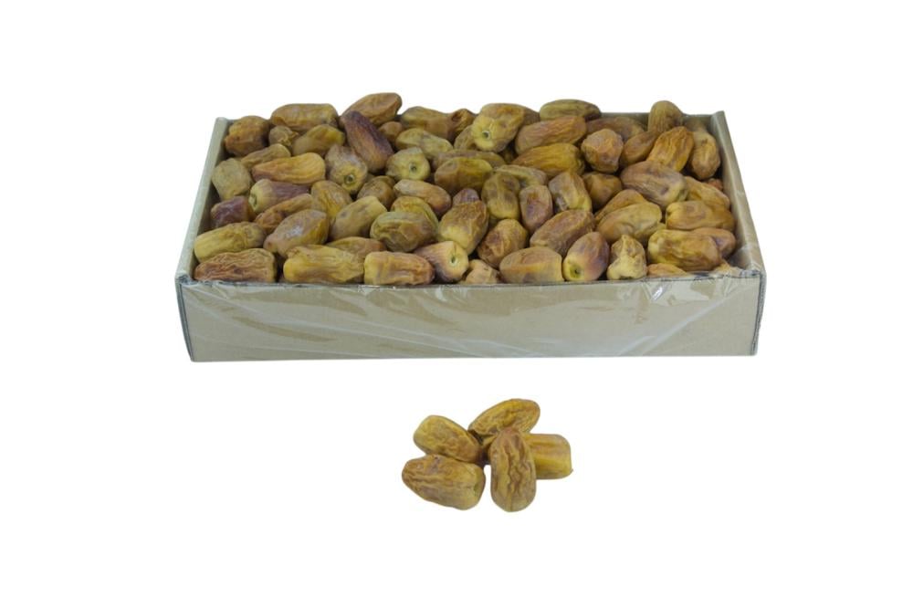 رشودية بانوراما