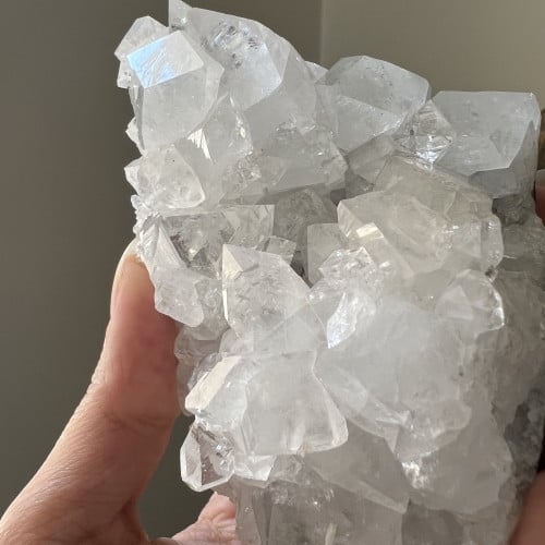 ابوفيليت الماسي عالي الجودة كبير