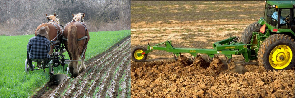 كشف النقاب عن المحراث: الأداة الزراعية الأساسية التي شكلت تاريخ الزراعة