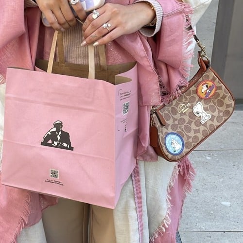 Snoopy bag