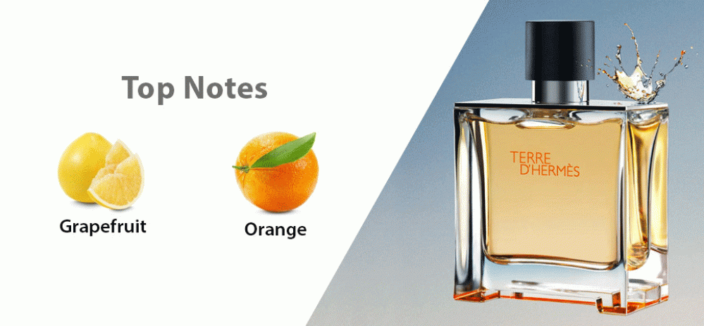 هيرميس تيري دي هيرميس – او دو بارفيوم للرجال – 100 مل