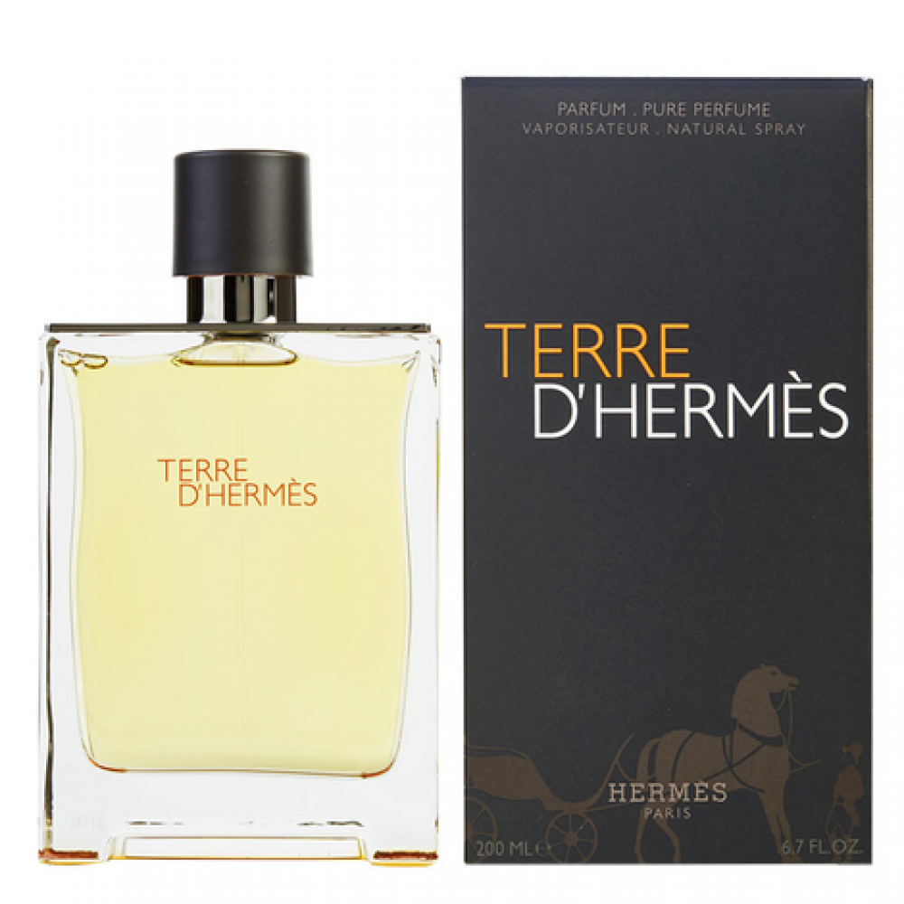 هيرميس تيري دي هيرميس – او دو بارفيوم للرجال – 100 مل