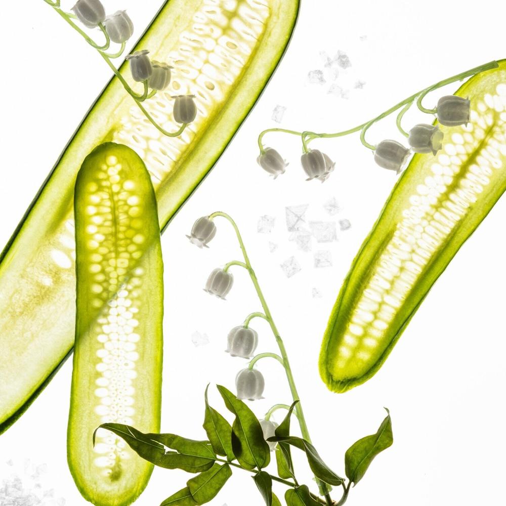 تاتشلاند معقم باور ميست المرطب لليدين زنبق الوادي 30 مل