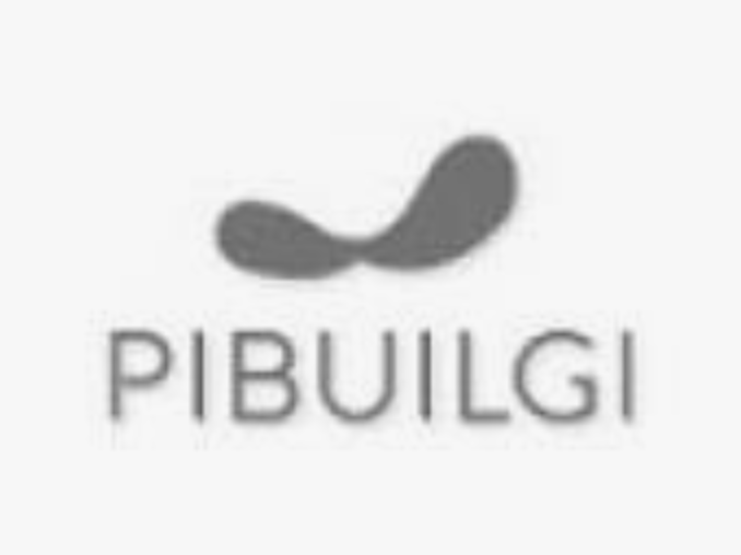 Pibuilgi