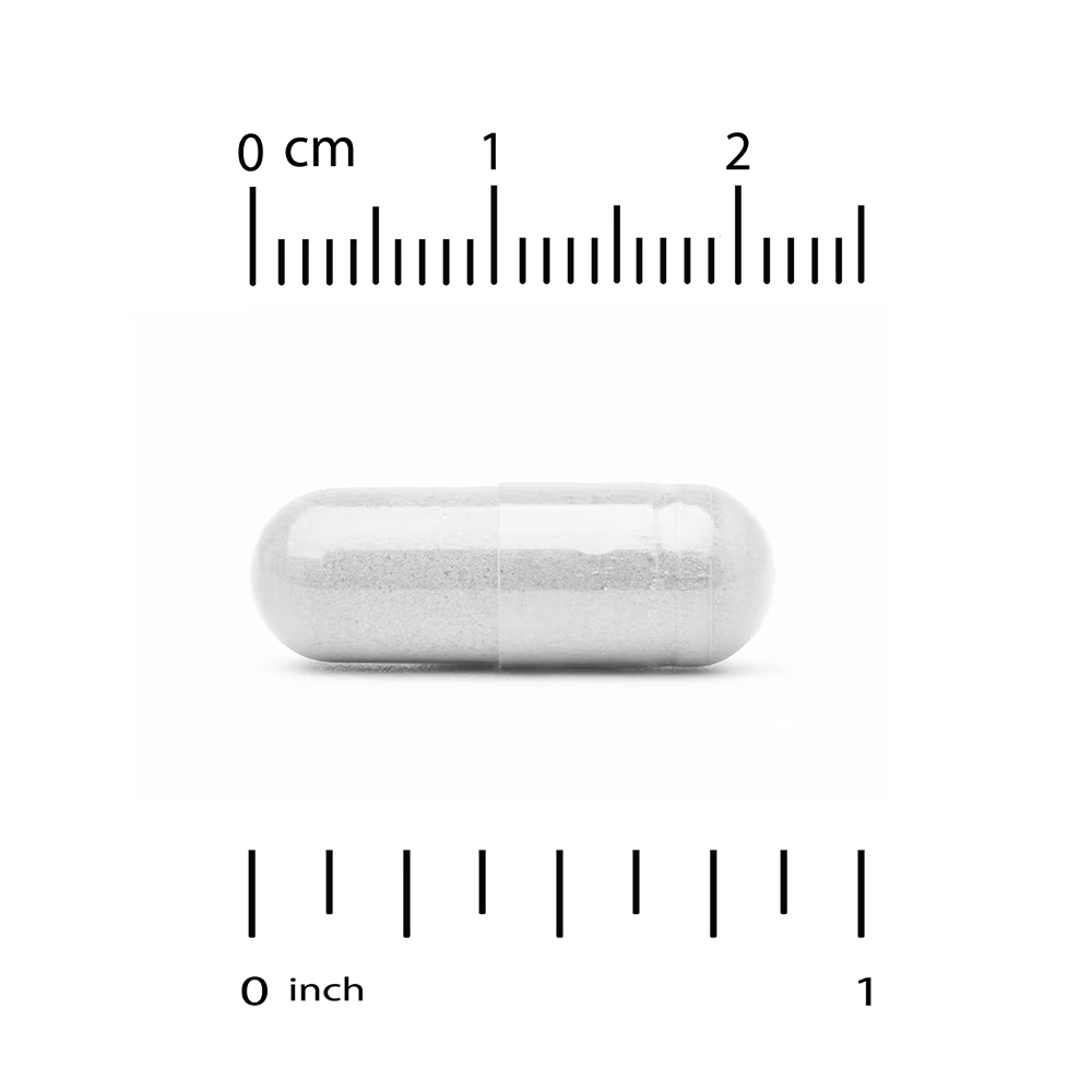 مكمل غذائي لاكتوبيف بروبيوتيك 65 مليار وحدة 30 كبسولة