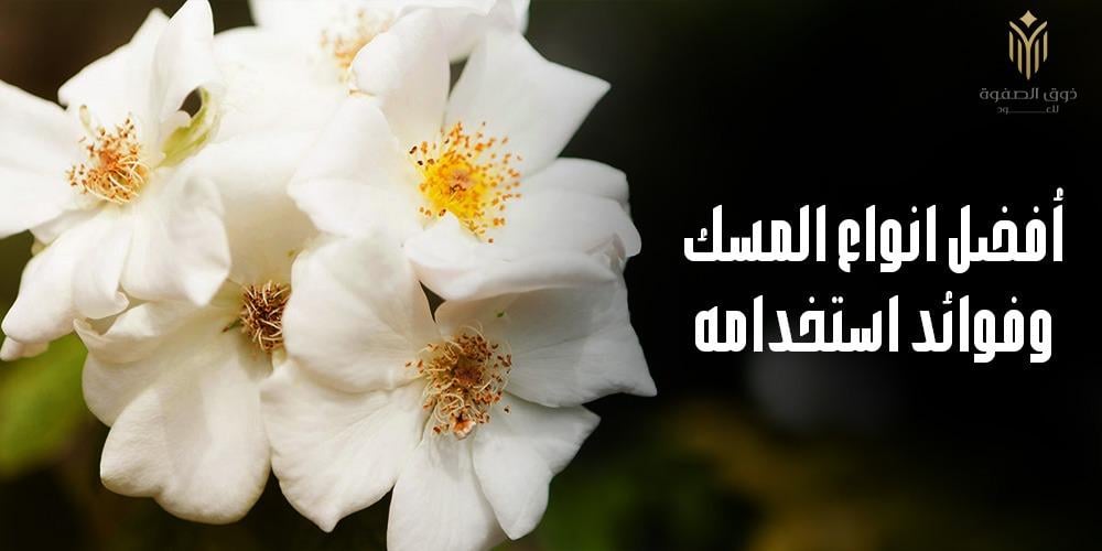 أفضل انواع المسك وفوائد استخدامه