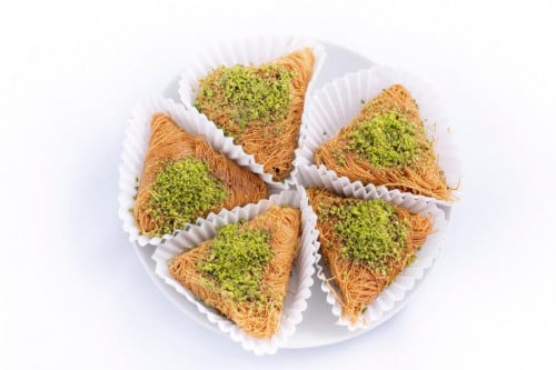 فيصلية بالقشطة