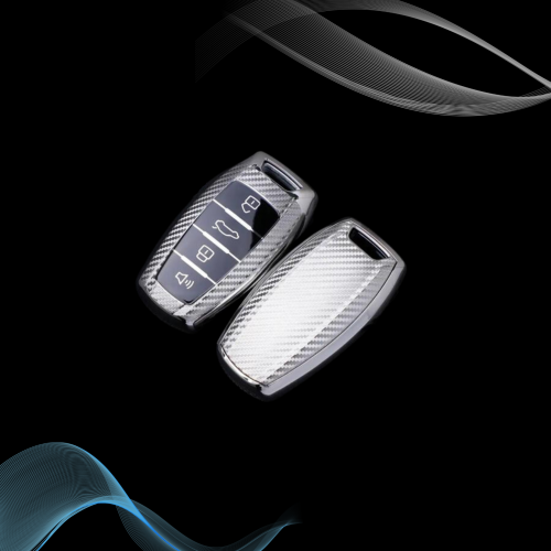 غلاف مفتاح هافال فضي