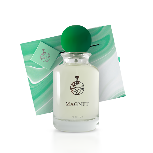 MAGNET | ماجنت
