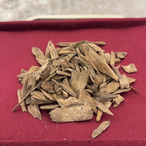 عود مروكي طبيعي (حي)