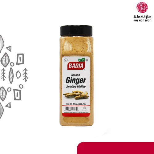 باديا زنجبيل مطحون 340.2 جرام