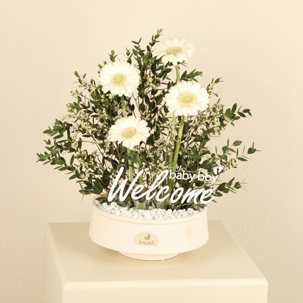 Welcome baby1