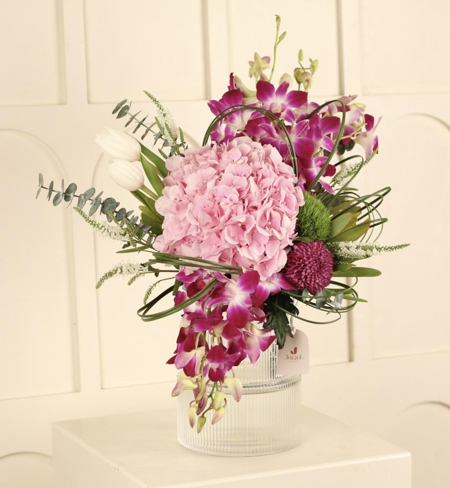 نغم الأوركيد