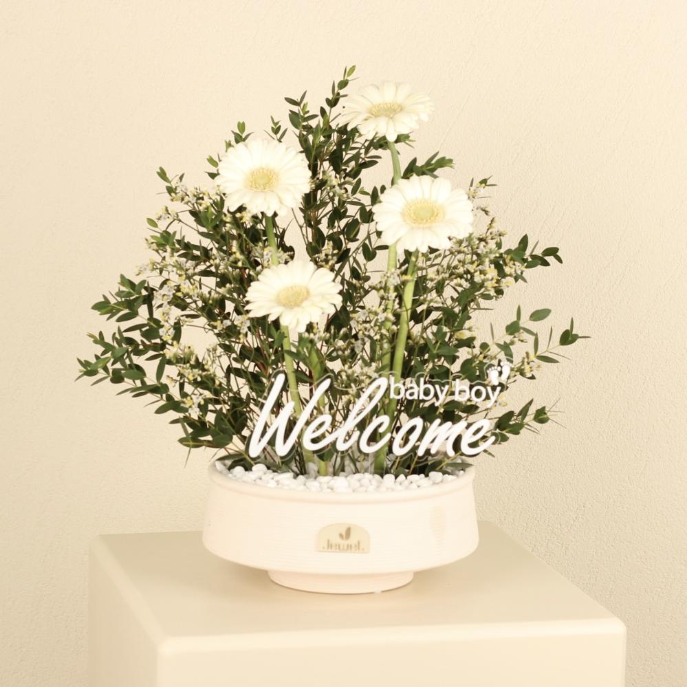 Welcome baby1