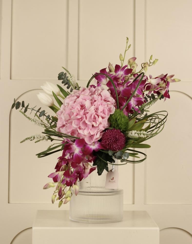 نغم الأوركيد