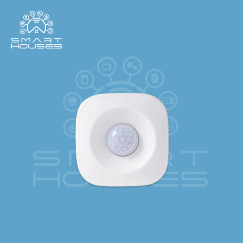 حساس حركة (MOTIN SENSOR)