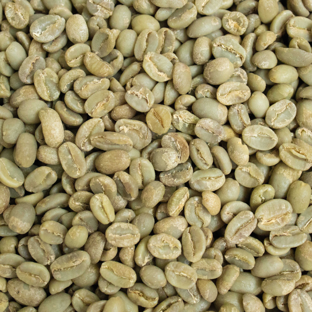 معلومات عن البن الهرري