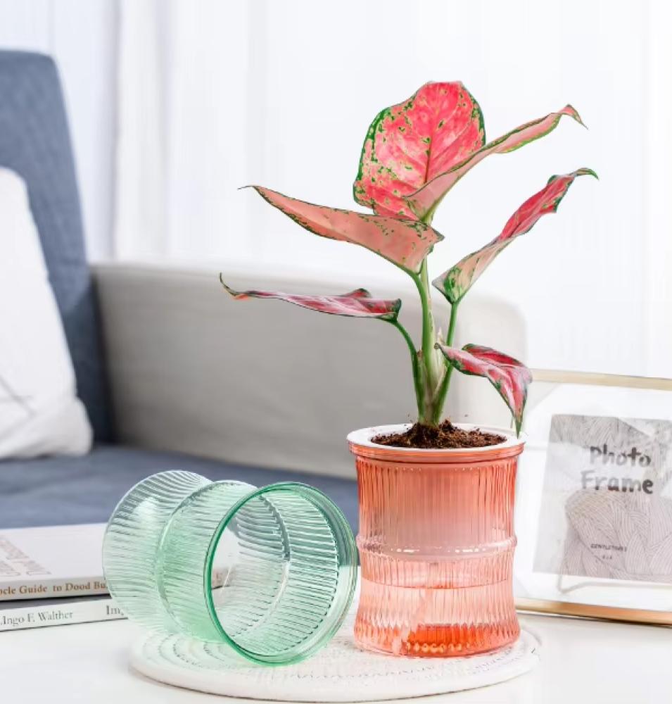 وعاء ري الذاتي