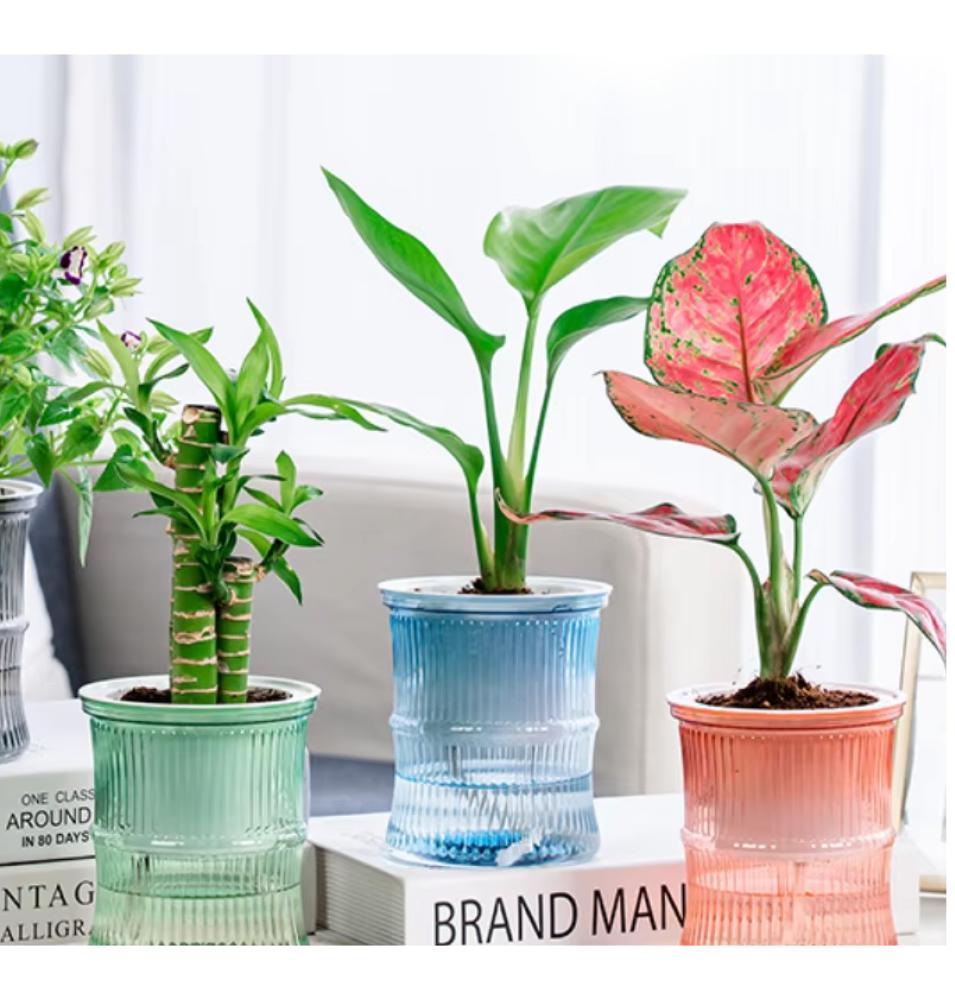 وعاء ري الذاتي