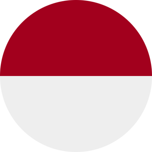 فيزا اندونيسيا