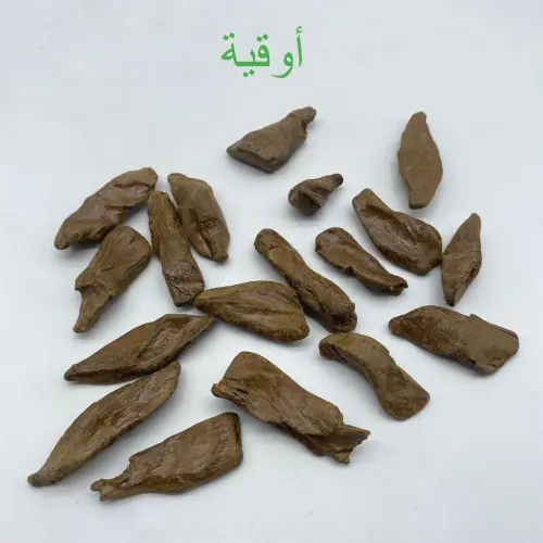 عود موروكي طبيعي آصقون محسن ( النخبة ) كسر صغيرة