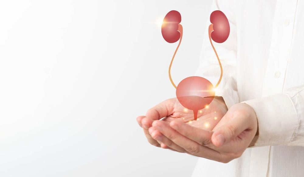 أفضل الفيتامينات للحفاظ على صحة الجهاز البولي