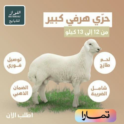 حري هرفي كبير