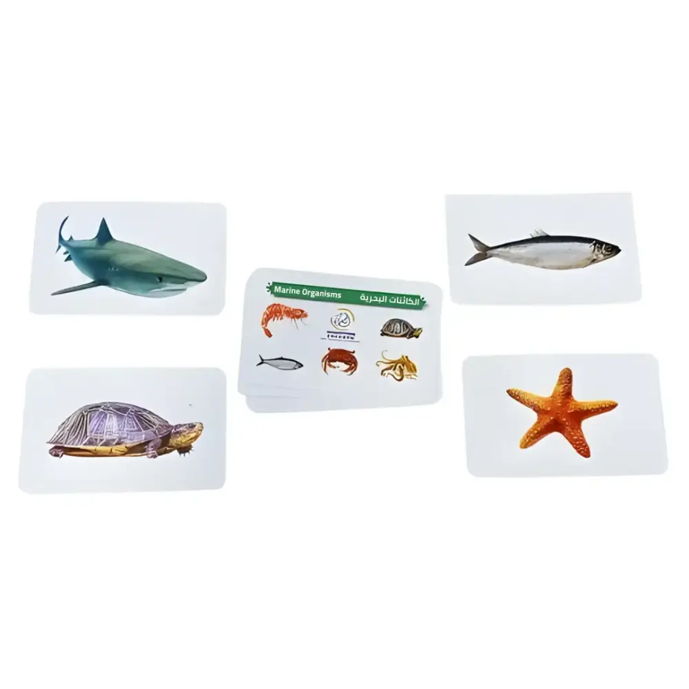 سلسلة الكروت الضمنية